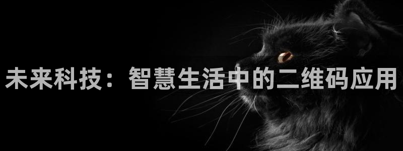开丰娱乐不开了吗