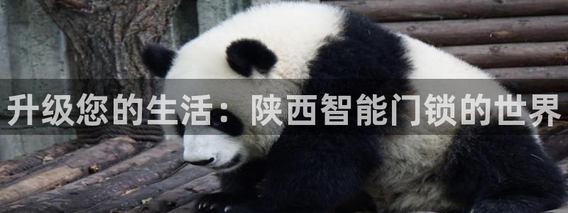 开丰娱乐登入地址在哪查：升级您的生活：陕西智能门锁的世界