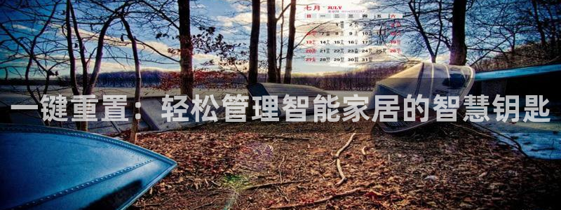 开丰娱乐平台官网网址：一键重置：轻松管理智能家居的智慧钥匙