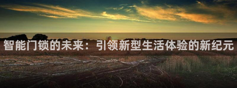开丰娱乐平台地址查询：智能门锁的未来：引领新型生活体验的新纪