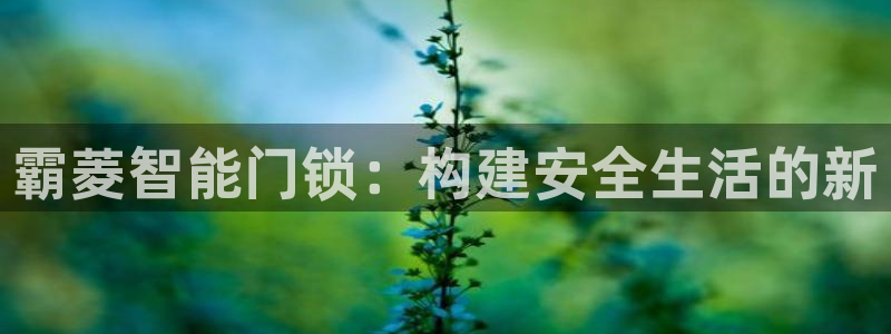 开丰娱乐注册：霸菱智能门锁：构建安全生活的新