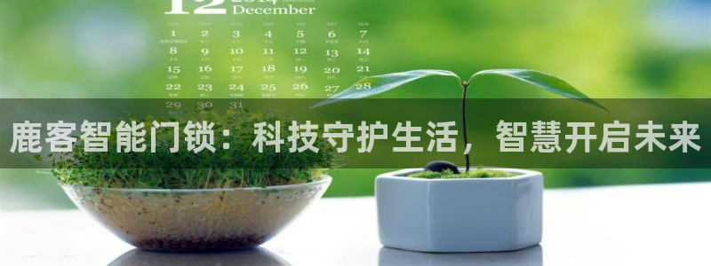 开丰娱乐寸六七五一38：鹿客智能门锁：科技守护生活，智慧开启