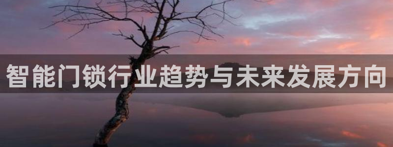 开丰娱乐违法吗：智能门锁行业趋势与未来发展方向