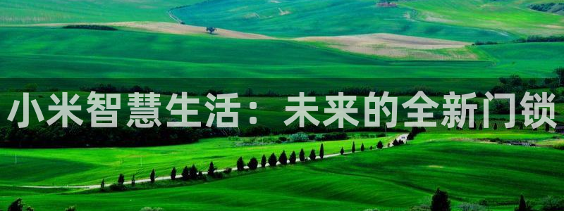 开丰娱乐后：小米智慧生活：未来的全新门锁