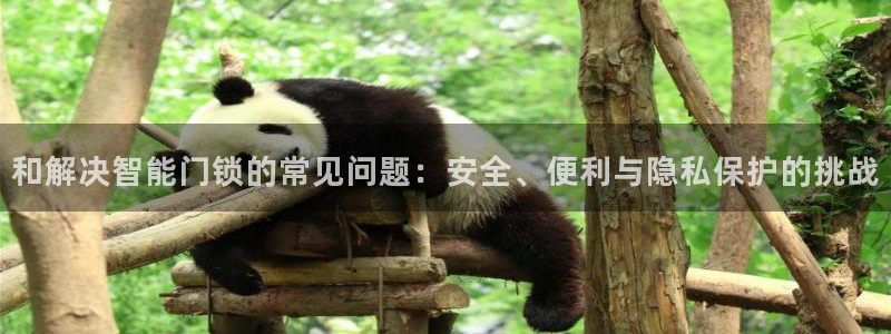 开丰娱乐除7O777：和解决智能门锁的常见问题：安全、便利与