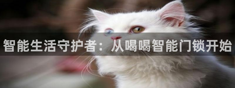 开丰娱乐网站官网下载：智能生活守护者：从喝喝智能门锁开始