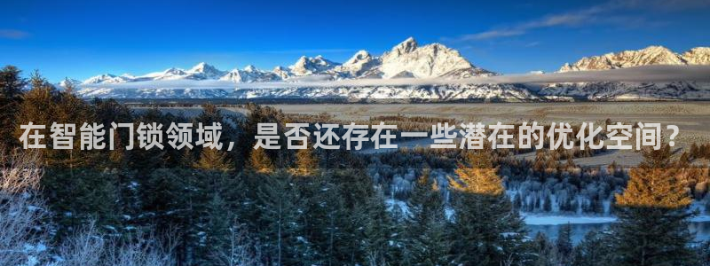 开丰娱乐会员中心：在智能门锁领域，是否还存在一些潜在的优化空