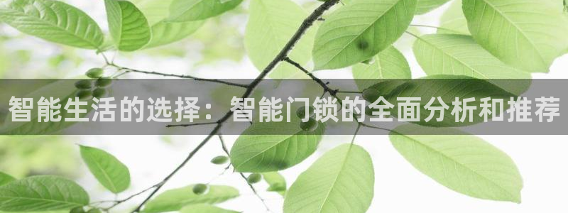 开丰娱乐官网平台：智能生活的选择：智能门锁的全面分析和推荐