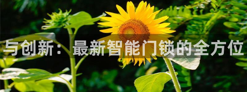 开丰娱乐官网平台