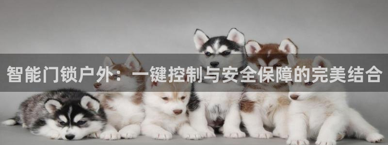 开丰娱乐主管