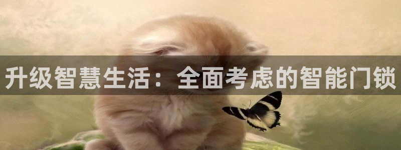 开丰娱乐右7O667