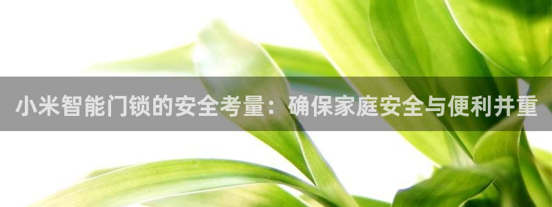 开丰娱乐平台地址：小米智能门锁的安全考量：确保家庭安全与便利