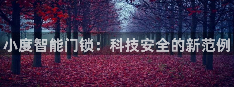 开丰娱乐登录官方网站：小度智能门锁：科技安全的新范例