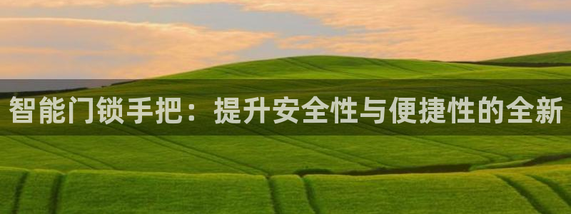 开丰娱乐网站官网首页：智能门锁手把：提升安全性与便捷性的全新