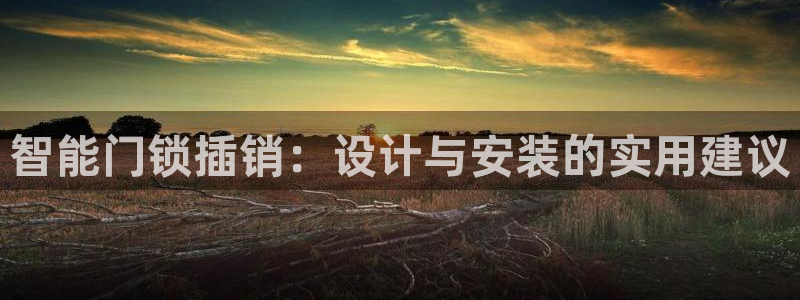 开丰娱乐官方app：智能门锁插销：设计与安装的实用建议