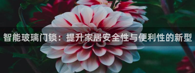 开丰娱乐前：智能玻璃门锁：提升家居安全性与便利性的新型