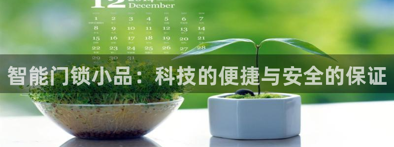 开丰娱乐地址查询：智能门锁小品：科技的便捷与安全的保证