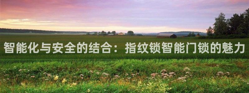 开丰娱乐更多平台：智能化与安全的结合：指纹锁智能门锁的魅力