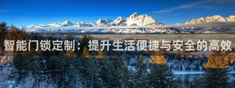 开丰娱乐姜333OO：智能门锁定制：提升生活便捷与安全的高效