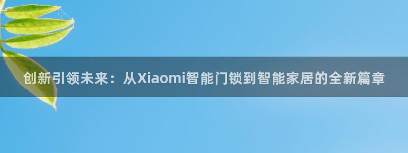 开丰娱乐姜333OO：创新引领未来：从Xiaomi智能门锁到