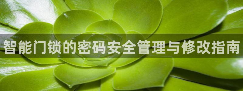 开丰娱乐不开了吗：智能门锁的密码安全管理与修改指南