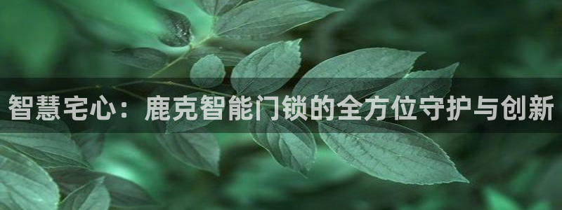 开丰娱乐67 5138：智慧宅心：鹿克智能门锁的全方位守护与
