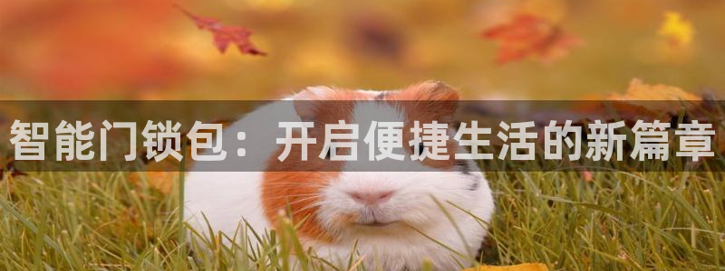 开丰娱乐姜333OO：智能门锁包：开启便捷生活的新篇章