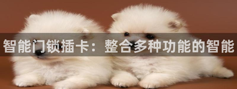 开丰娱乐月7O667：智能门锁插卡：整合多种功能的智能