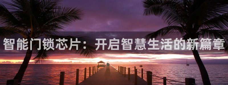 开丰娱乐平台：智能门锁芯片：开启智慧生活的新篇章