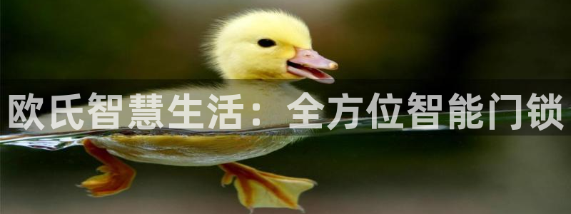 开丰娱乐：欧氏智慧生活：全方位智能门锁