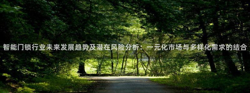 开丰娱乐登录平台下载：智能门锁行业未来发展趋势及潜在风险分析