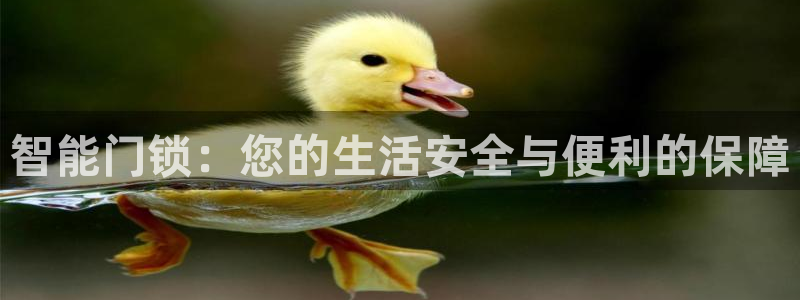 开丰娱乐网站官网下载：智能门锁：您的生活安全与便利的保障