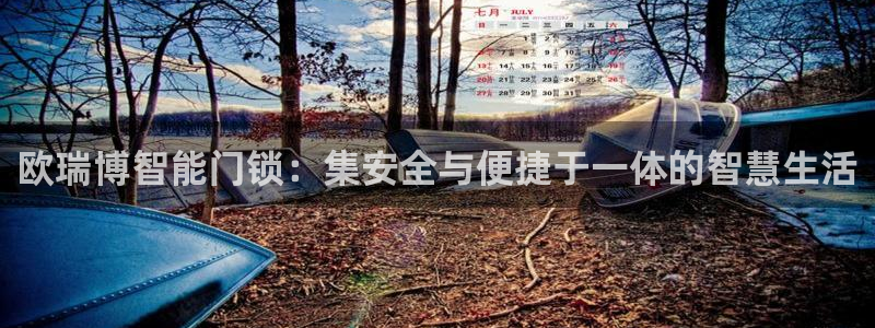 开丰娱乐线路：欧瑞博智能门锁：集安全与便捷于一体的智慧生活