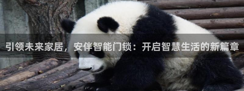 开丰娱乐上7O667：引领未来家居，安伴智能门锁：开启智慧生