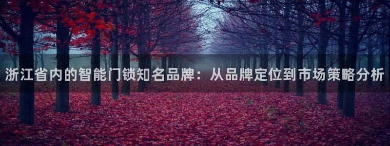 开丰娱乐开户：浙江省内的智能门锁知名品牌：从品牌定位到市场策