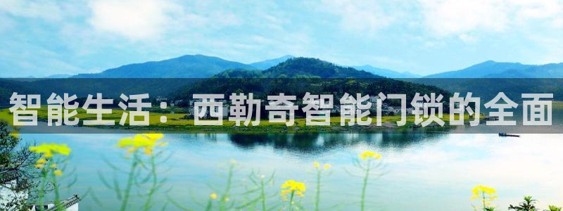 开丰娱乐右7O667：智能生活：西勒奇智能门锁的全面