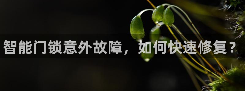 开丰娱乐注册自判官333OO：智能门锁意外故障，如何快速修复