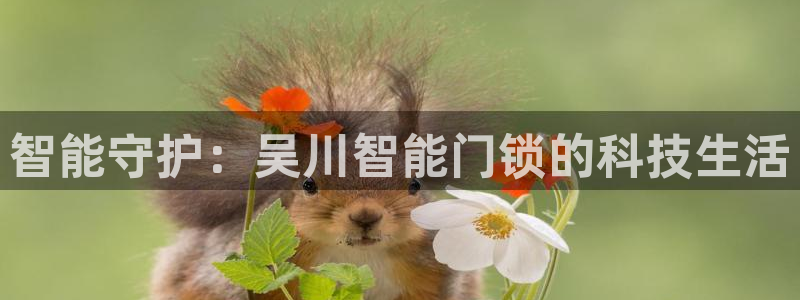 开丰娱乐予 7O935：智能守护：吴川智能门锁的科技生活