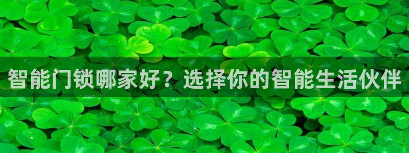开丰娱乐登录：智能门锁哪家好？选择你的智能生活伙伴