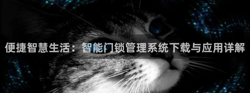 开丰娱乐怎么样：便捷智慧生活：智能门锁管理系统下载与应用详解