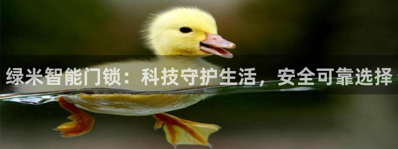 开丰娱乐会员中心：绿米智能门锁：科技守护生活，安全可靠选择
