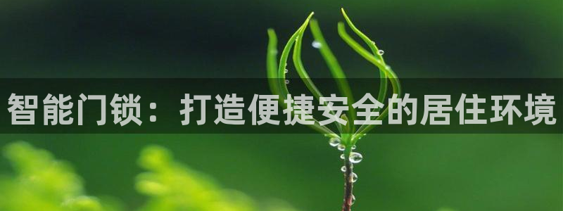 开丰娱乐咋7O777：智能门锁：打造便捷安全的居住环境
