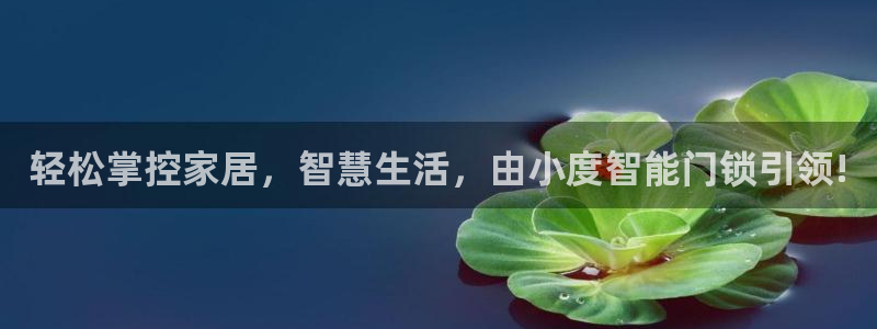 开丰娱乐天：轻松掌控家居，智慧生活，由小度智能门锁引领!