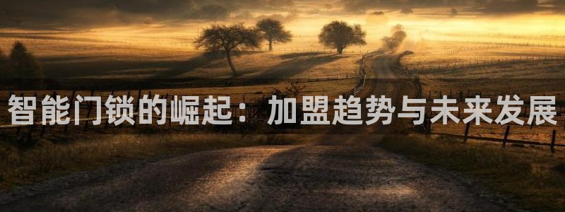 开丰娱乐千67五壹叁八：智能门锁的崛起：加盟趋势与未来发展
