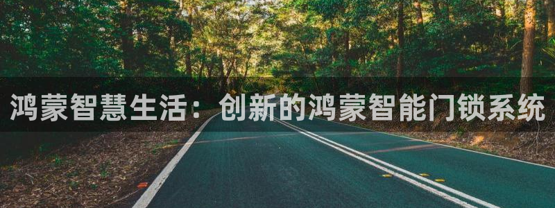 开丰娱乐平台注册时间：鸿蒙智慧生活：创新的鸿蒙智能门锁系统