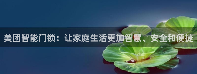 开丰娱乐优七九九47：美团智能门锁：让家庭生活更加智慧、安全