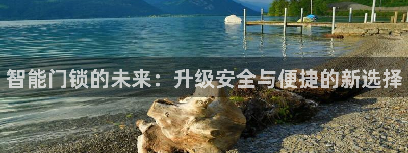 开丰娱乐注册自判官333OO：智能门锁的未来：升级安全与便捷