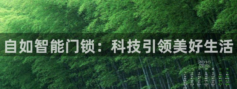 开丰娱乐怎么开转点：自如智能门锁：科技引领美好生活