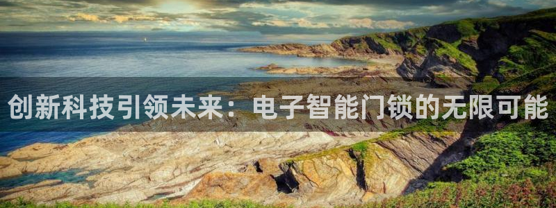 开丰娱乐平台提现失败：创新科技引领未来：电子智能门锁的无限可