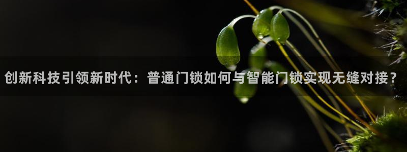 开丰娱乐上7O667：创新科技引领新时代：普通门锁如何与智能
